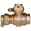 1IN BALL VALVE CTS PJ/FIP