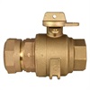 2IN BALL VALVE CTS QJ/FIP