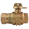 1-1/4 BALL VALVE CTS QJ/FIP