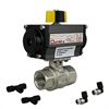 1IN DRAIN VALVE PACKAGE