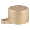 LOCK CAP FOR MLR 3/4 STR VALVE