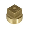 5/8 METER PLUG NPSM/SQR HEAD